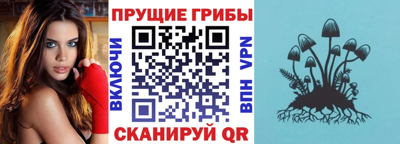 кракен зеркало  Новая Ляля  Галлюциногенные грибы мухоморы 